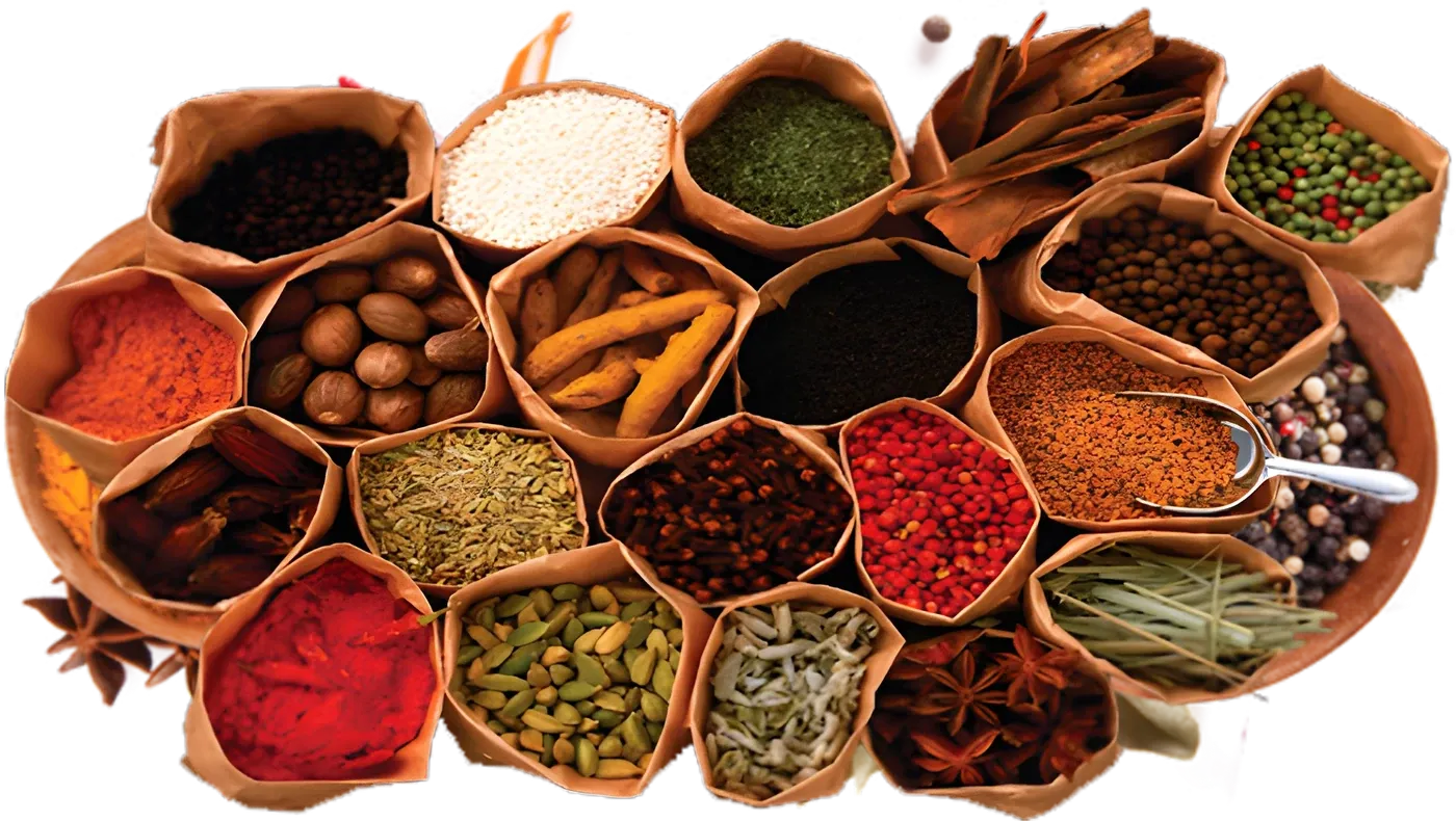 Bowls of whole and ground spices